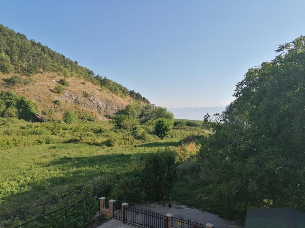 אוהריד Vila Sara מראה חיצוני תמונה